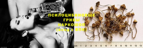 винт Снежинск