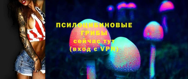 МДПВ Снежногорск
