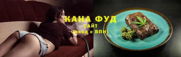 МДПВ Снежногорск