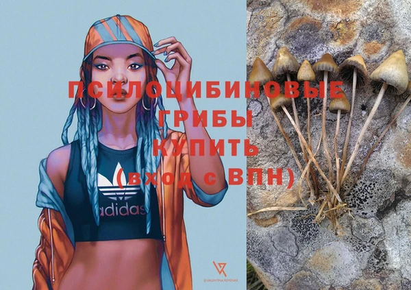 МДПВ Снежногорск
