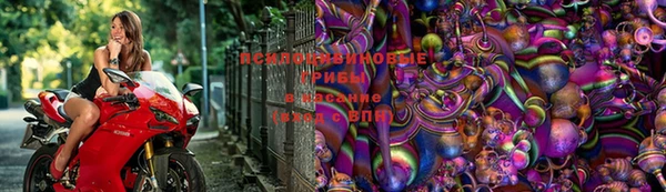 МДПВ Снежногорск