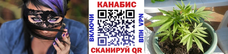 Купить закладки  Новопавловск  Конопля Bruce Banner 